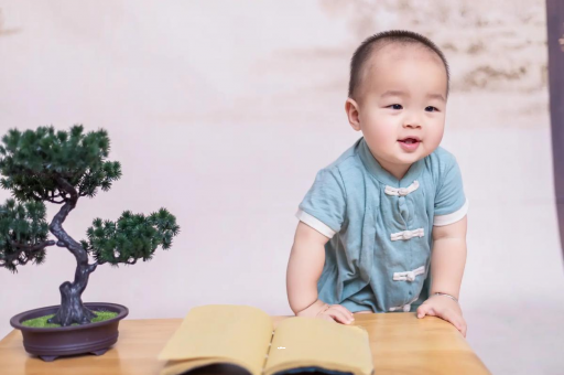辽宁可爱的企鹅宝宝